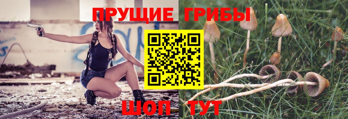 Кемерово  Галлюциногенные грибы Magic Shrooms  Вход с VPN 